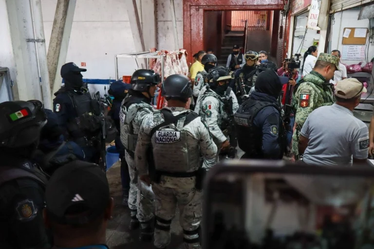 senala-sheinbaum-que-regresar-a-la-guerra-contra-el-narco-es-dar-permiso-para-matar-e-ir-hacia-el-fascismo_118344c5-2d44-4c7f-a23a-88f441cccbd4_medialjnimgndimage=fullsize (1)