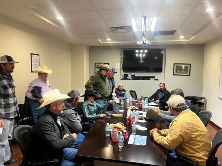 WhatsApp Image 2026-02-09 at 10.07.38 AM-e06ba4f4