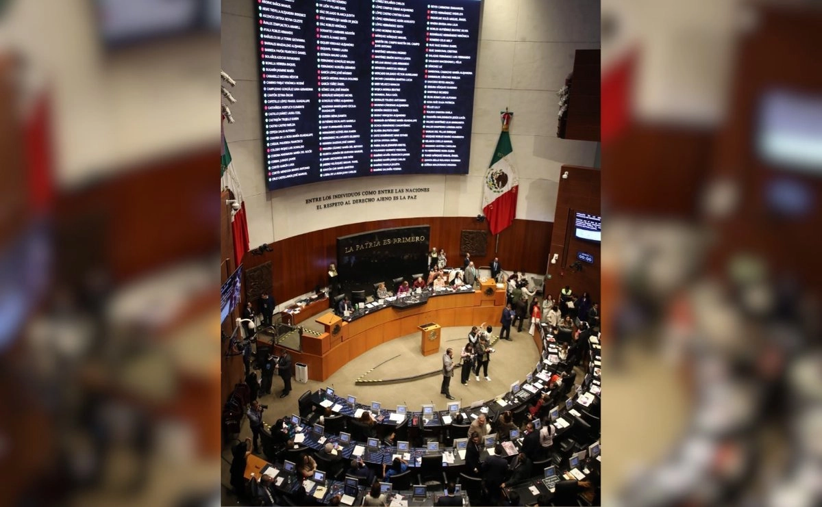 senado-avala-reforma-sobre-nulidad-de-elecciones-por-intervencion-extranjera-la-remite-a-congresos-locales_7230f2f1-1687-4742-bd31-8cdd55c508db_medialjnimgndimage=fullsize (1)